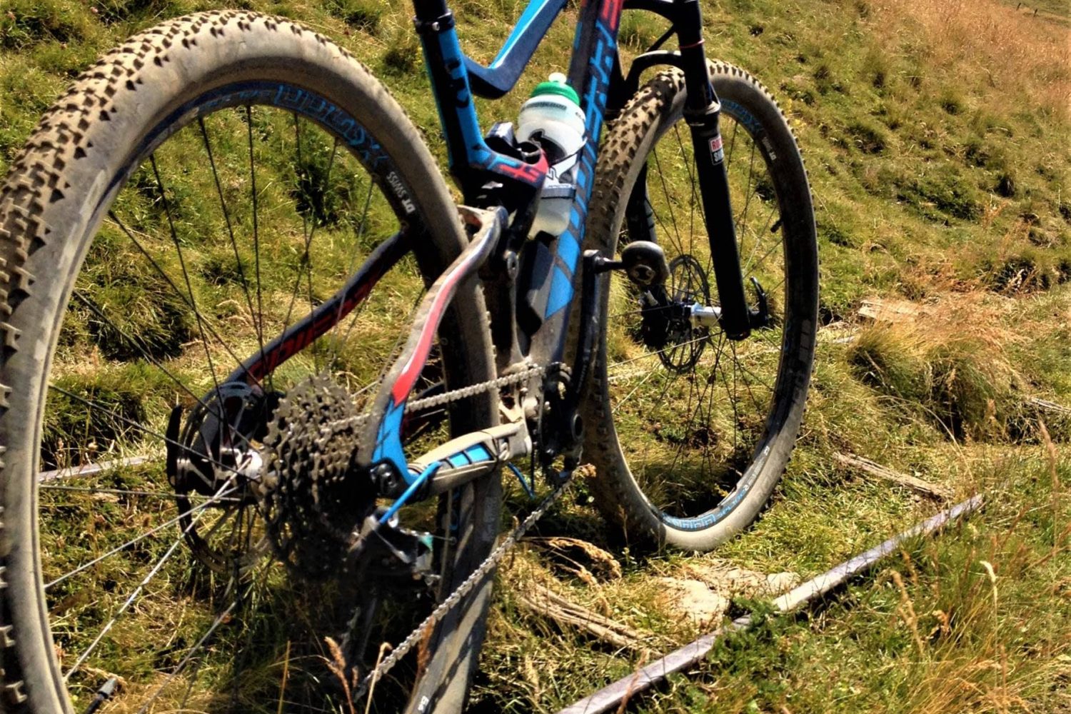bici2